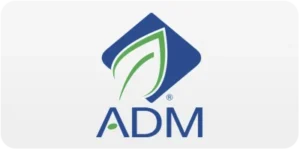 adm-brasil